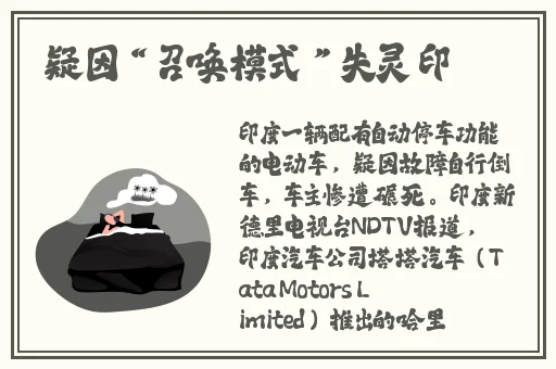 老年人镖客视频大全